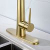Gold Kitchen Faucets with Pull Down Sprayer, Kitchen Sink Faucet with Pull Out Sprayer,Fingerprint Resistant, Single Hole Deck Mount, Single Handle Co