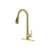 Gold Kitchen Faucets with Pull Down Sprayer, Kitchen Sink Faucet with Pull Out Sprayer,Fingerprint Resistant, Single Hole Deck Mount, Single Handle Co