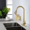 Gold Kitchen Faucets with Pull Down Sprayer, Kitchen Sink Faucet with Pull Out Sprayer,Fingerprint Resistant, Single Hole Deck Mount, Single Handle Co
